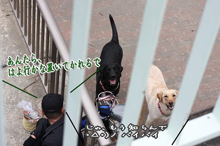 バイバイ