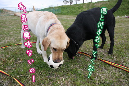 興味ないわ