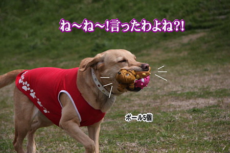 言った?