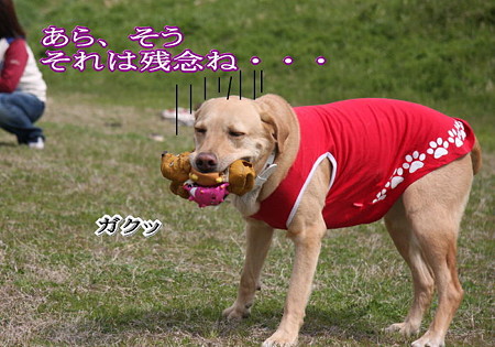 残念
