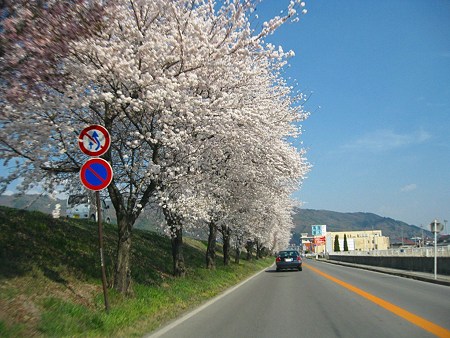 2009年4月12日 高島城など (60)