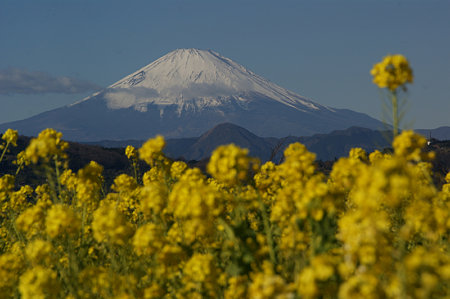 富士山0103f