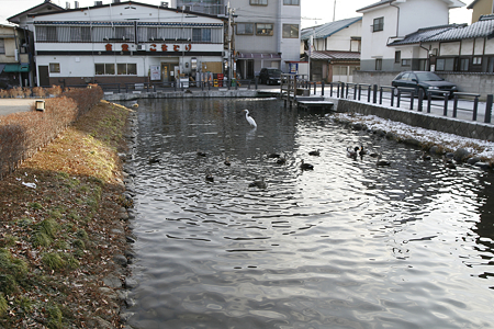 伴野城（伴野氏館、野沢城） - 09