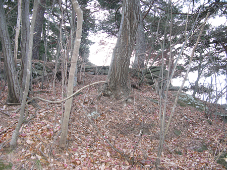 平賀城 - 16