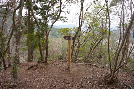 東山城 - 07