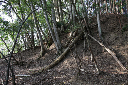 山家城〔甲ヶ峯城・左衛門屋敷〕 - 15