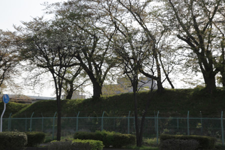 会津若松城・天寧寺町土塁 - 1