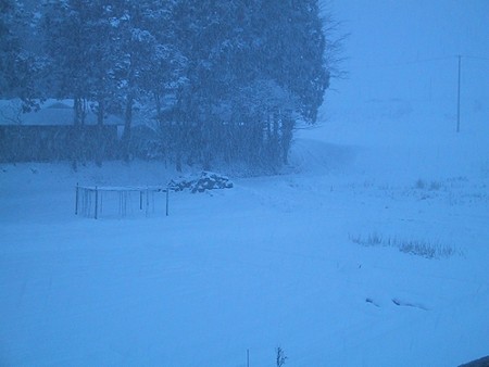 雪