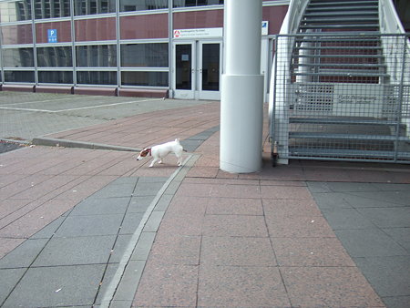 DSCF5598