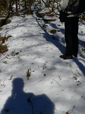 雪の道