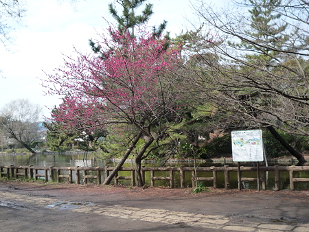 P1010664