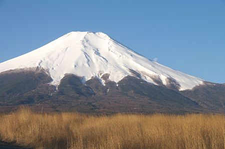IMGP8286