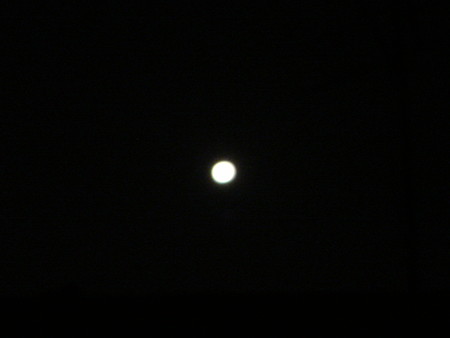 DSC00028