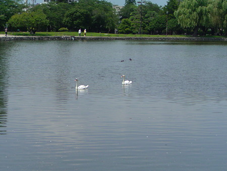 DSC00112
