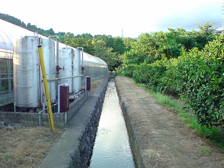 DSC00327