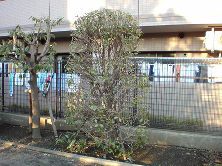 DSC00114