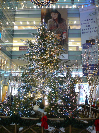 DSC00135