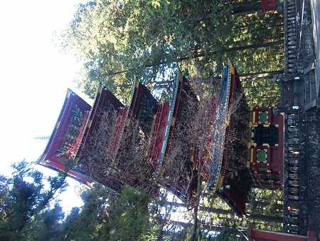 DVC00097