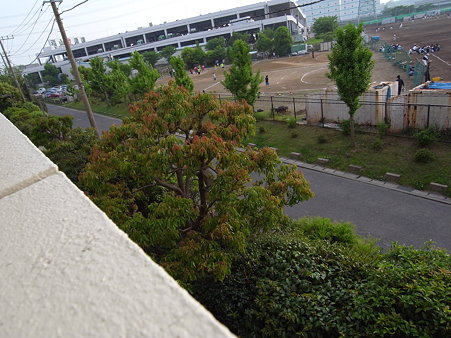 R0010153