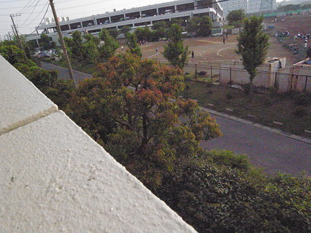 R0010157