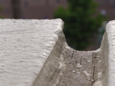 R0010137