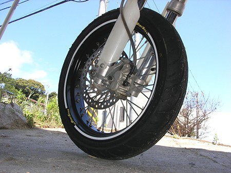SANY6648