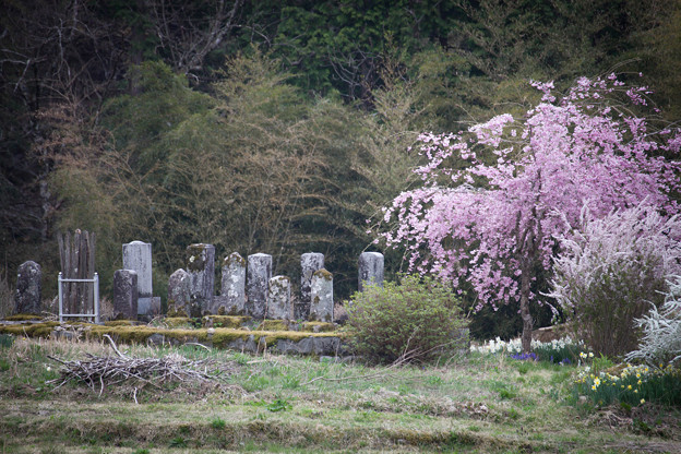 _MG_2028