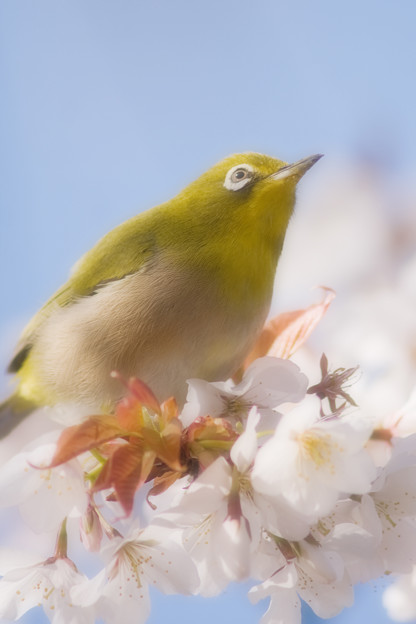 物想ふ