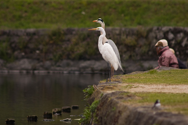 「まだか?」「まだ釣らないな…」