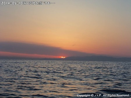 2014-05-10海の変化を感じるも・・・ (3)