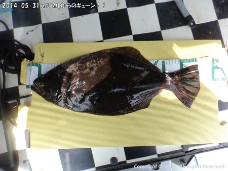 2014-05-31プルプルからのギューン!! (11)
