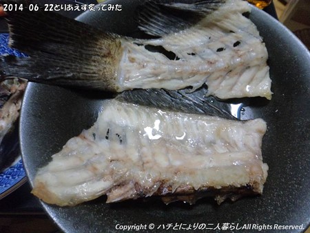 2014-06-22とりあえず炙ってみた (6)
