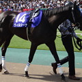 ｳﾞｨﾙｼｰﾅ(2回東京8日 11R 第9回 ｳﾞｨｸﾄﾘｱﾏｲﾙ(GI)出走馬)