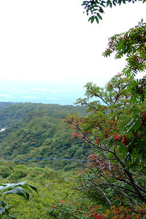 DSCF5543