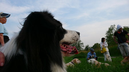 P1020940