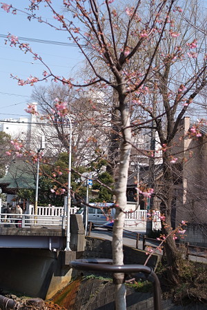 DSCF0314