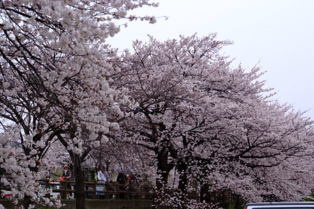 DSCF0618