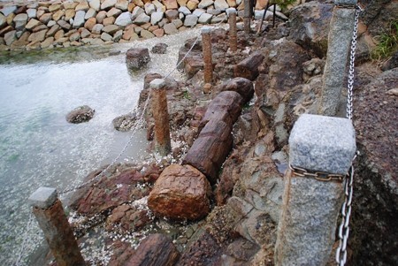 najimahotyuuseki08