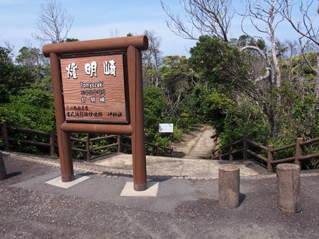 toumeisaki_taiji10