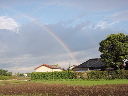虹