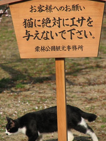 白黒1号と高札