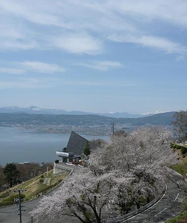 090418_sakura