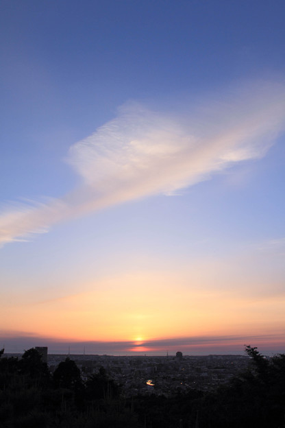 Photos: 夕暮れの飛行機雲