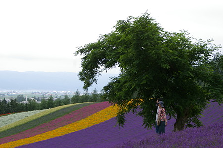 IMGP9615