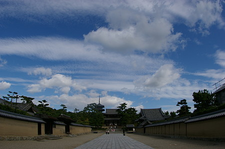 IMGP3132