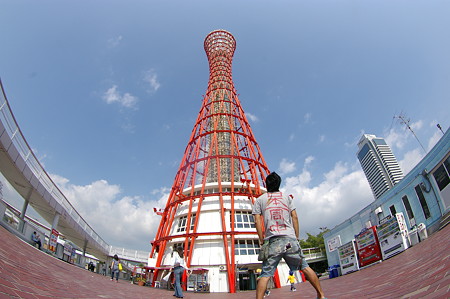 IMGP3780