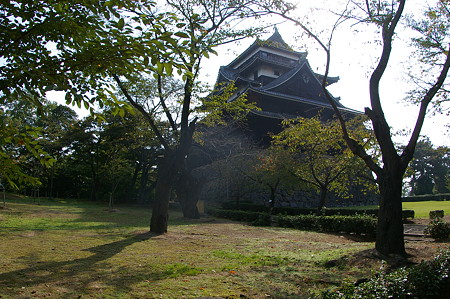IMGP4400