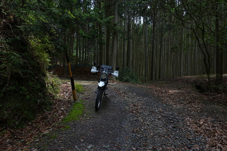 R260東宮坂トンネル旧道探索・2