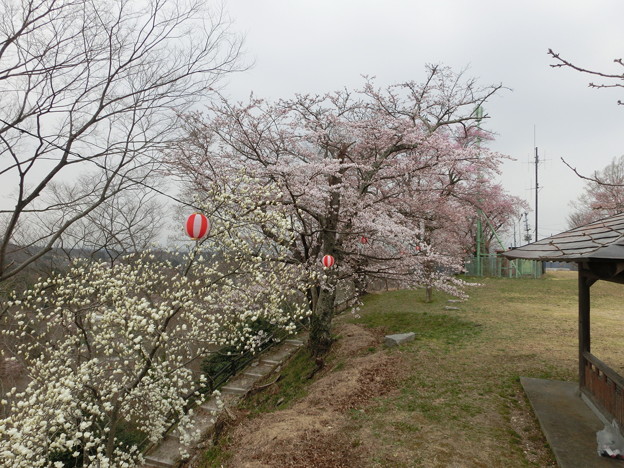 CIMG0407