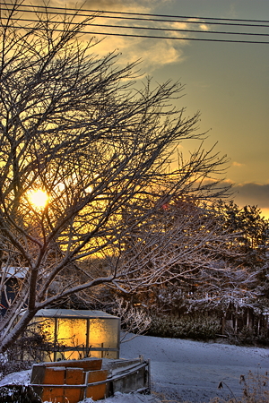 2008.12.31大晦日の朝-DSC05089HDR